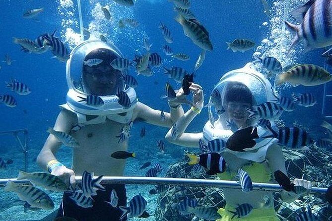 Bali Ocean Walker - Bali Ocean Walker in Kuta: The Helmet-Walk Way to See the Sea Floor