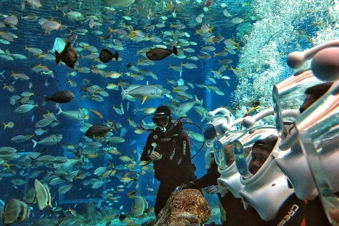 Bali Ocean Walker - Suit Up and Get Sorted: Lockers, Showers, and Changing Rooms