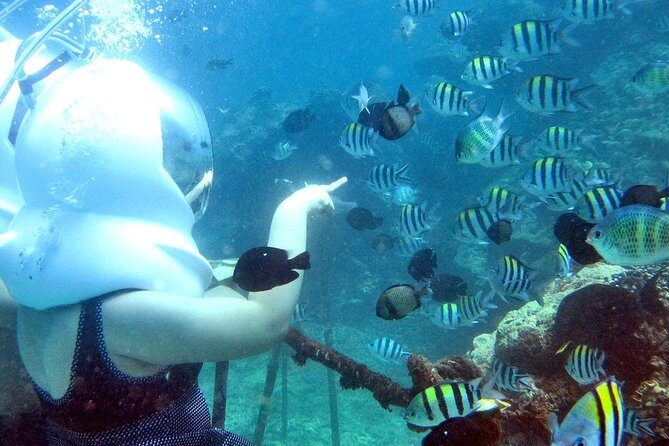 Bali Ocean Walker - Pickup From Your Bali Hotel: How Transfers Shape the Day