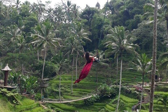 Bali Private 3 Days Tour Package Highlight - Who this private 3-day tour is best for
