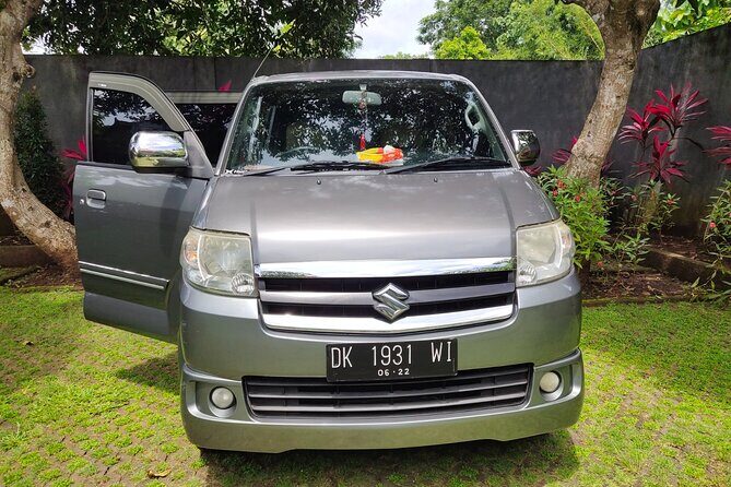 Bali Private Car and Customize Tour With English Speaking Driver - Aloha Swing and the coffee-herbal break: short stops, clear payoff
