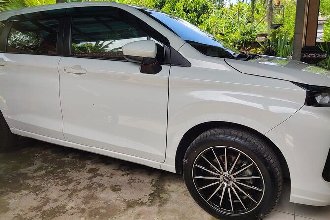 Bali Private Car and Customize Tour With English Speaking Driver - Mount Batur’s viewpoint and the feel of Bali’s geology