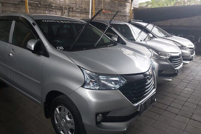 Bali Private Car Charter - Where you can go: Ubud, Denpasar, Sanur, and out-of-the-way places