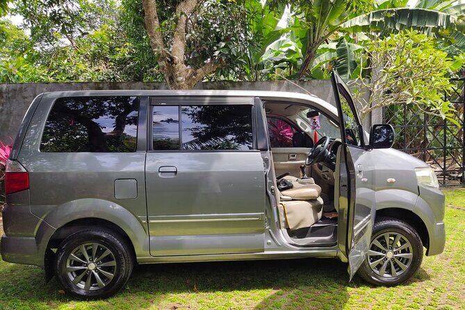 Bali Private Car Charter & Customize Tour With Driver English Speaking-Free WiFi - Stops breakdown: what you’ll see, how long you’ll have, and what to watch for