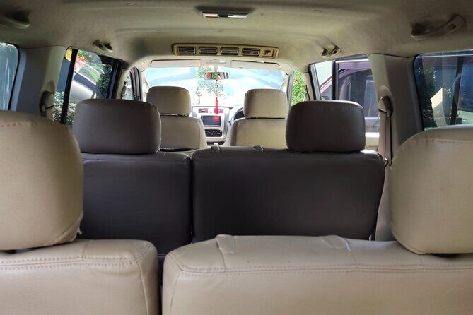 Bali Private Car Charter & Customize Tour With Driver English Speaking-Free WiFi - Who this tour suits best (and who should rethink it)