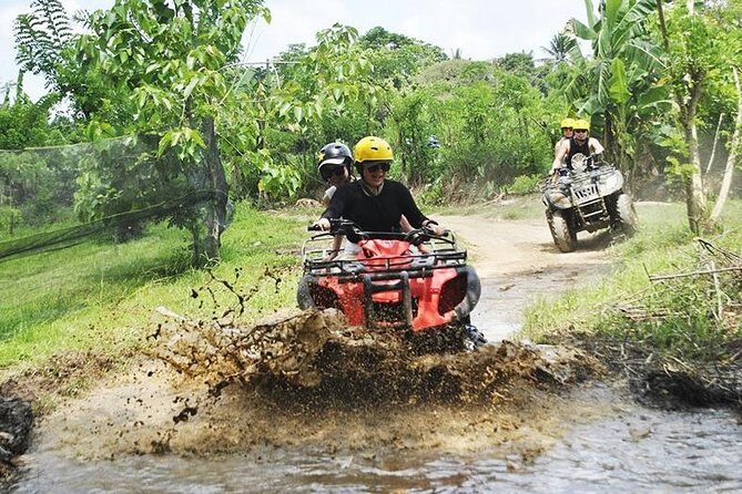 Bali Private Car Charter Tour with English Speaking Driver - Stop-by-stop guide: Tegenungan, Tirta Empul, Tegalalang, and the rest