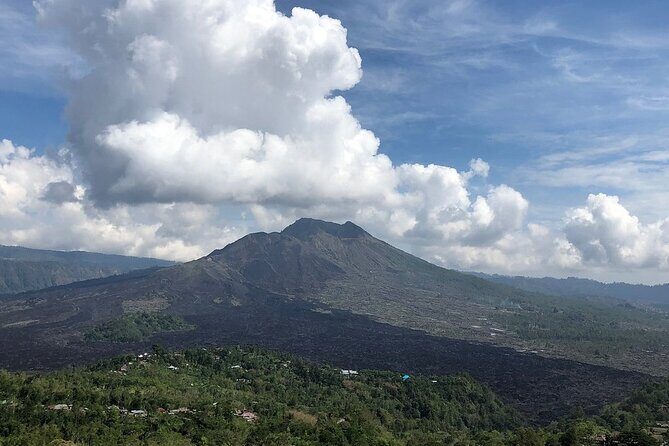 Bali Private Car Charter With English Speaking Driver To Ubud Area - The Value of a 10-Hour Private Car Charter From Seminyak