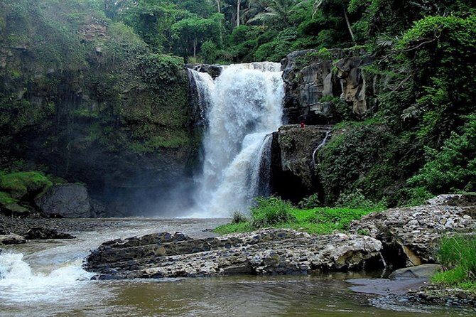 Bali Private Car Charter with English Speaking Driver - Free Custom Itinerary: Build a Bali Day That Matches Your Mood