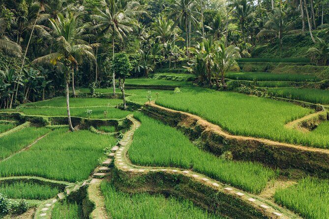 Bali Private Car Full Day Customized Tour With Drone Service - Aloha Ubud Swing and Kintamani: when photos meet volcano views