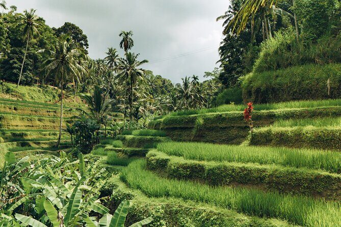 Bali Private Car Full Day Customized Tour With Drone Service - Penglipuran Village and Tegenungan Waterfall: village order and quick nature