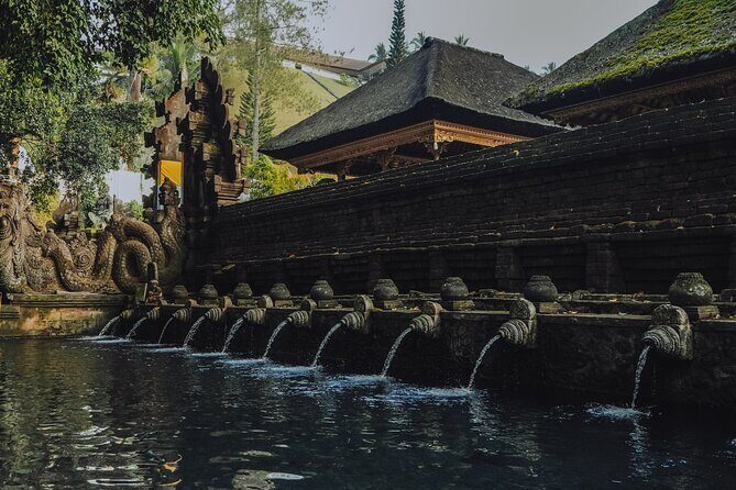 Bali Private Car Full Day Customized Tour With Drone Service - The drone service: aerial photos and edited video highlights included