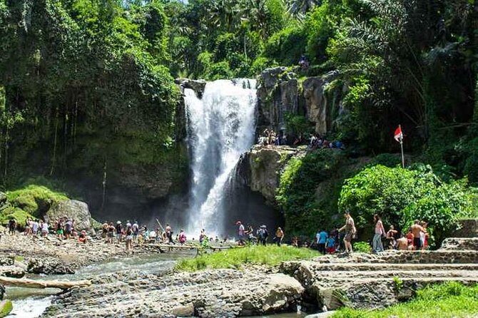 Bali Private Car Hire with Driver - Ubud classics: monkeys, ridge walks, waterfalls, and rice terraces