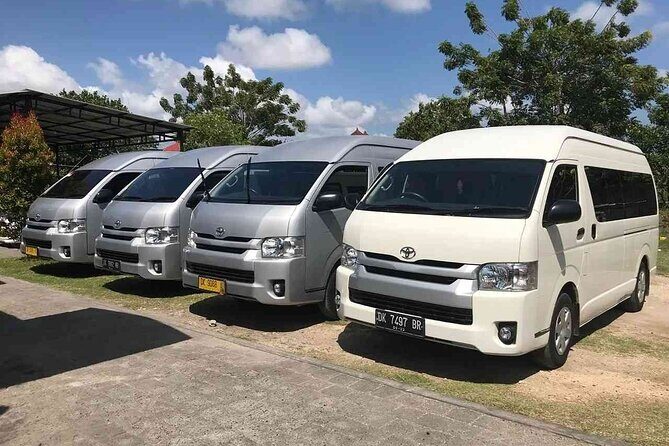 Bali Private Car Hire with English-Speaking Driver - Onboard Wi-Fi: useful for sharing, not for planning your whole day
