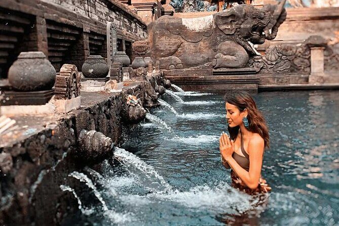 Bali Private Car Hire with English-Speaking Driver - Who should book this private car hire?