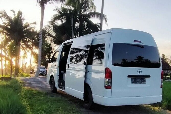 Bali Private Car Service with English Speaking Driver - Waterfalls, Bali Swings, and Shopping Without Burning Time