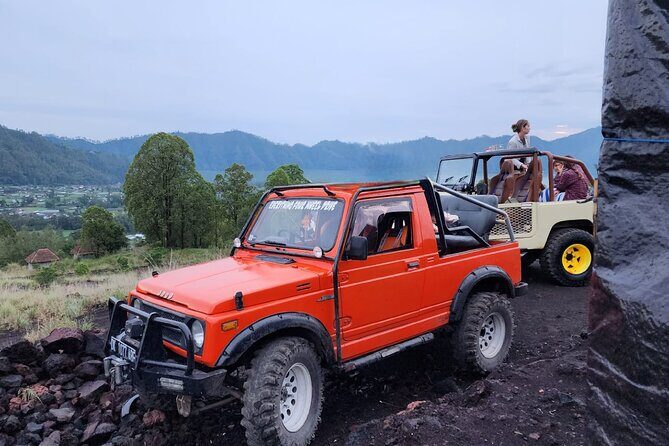 Bali Private Custom Tour - The driver factor: why punctual patience matters