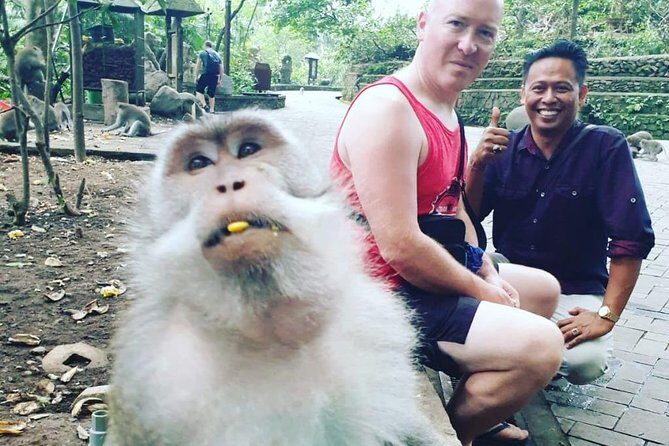 Bali Private Custom Tour - Bali Car Hire with Driver - Common Stop Themes: Temples, Ubud, Uluwatu, Waterfalls, and Hot Springs