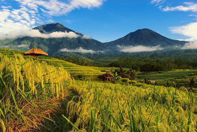 Bali Private Driver - Bali customized private tour - Quick hits before you book