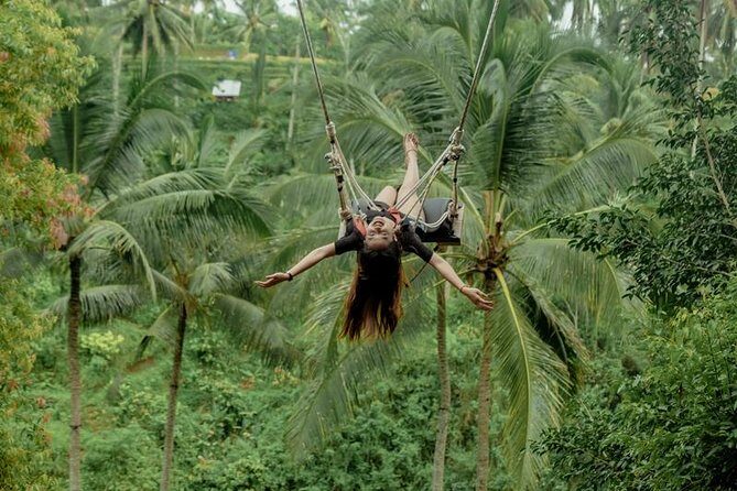 Bali Private Driver - Bali customized private tour - Jatiluwih and Wanagiri: scenic countryside stops that reward good timing
