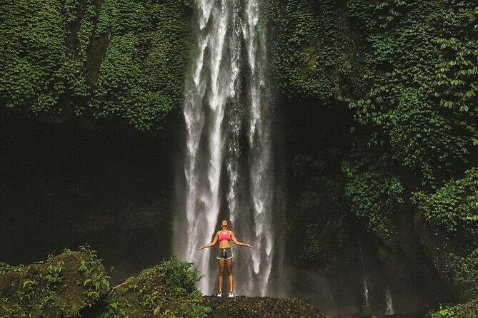 Bali Private Driver & Tour Guide - Key highlights worth your attention