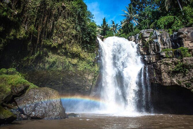 Bali Private Full Day Tour to Visit the Best Waterfalls and Swing near Ubud - Key points at a glance