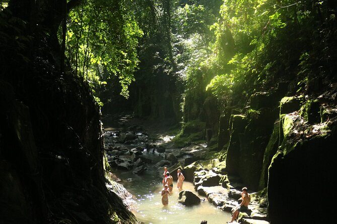 Bali Private Full Day Tour to Visit the Best Waterfalls and Swing near Ubud - Terrace River Pool Swing: swings, zipline, sky cycling, and coffee farm time