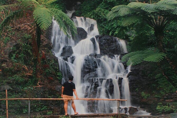 Bali : Private Fullday trip, Discover North Bali Destination - Coffee Plantation Optional Stop: Worth It if You Like Stops That Slow Down