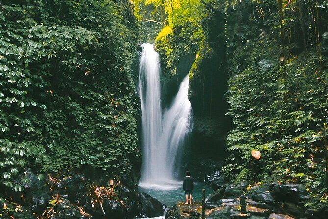 Bali : Private Fullday trip, Discover North Bali Destination - Banyumala Twin Waterfalls and Banyuwana: Swimming Time on Your Schedule