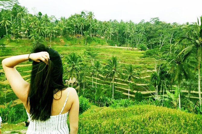 Bali Private inclusive tour: Best of Ubud in a Day - Sacred Monkey Forest Sanctuary: more than 600 monkeys in the town core