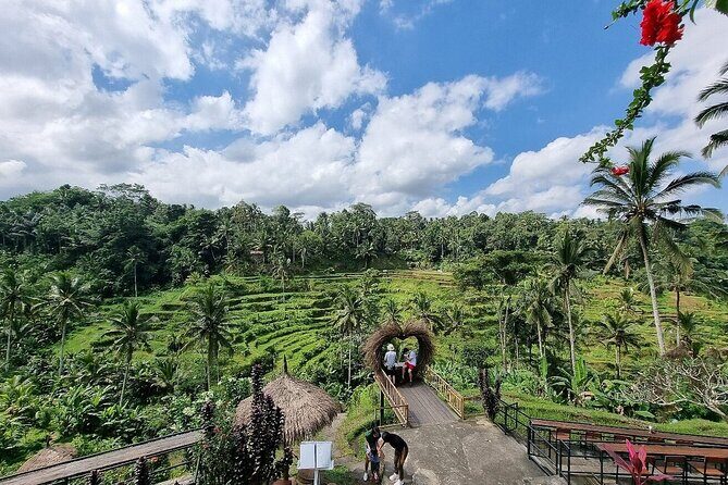 Bali Private inclusive tour: Best of Ubud in a Day - What the private transport really buys you from Jimbaran