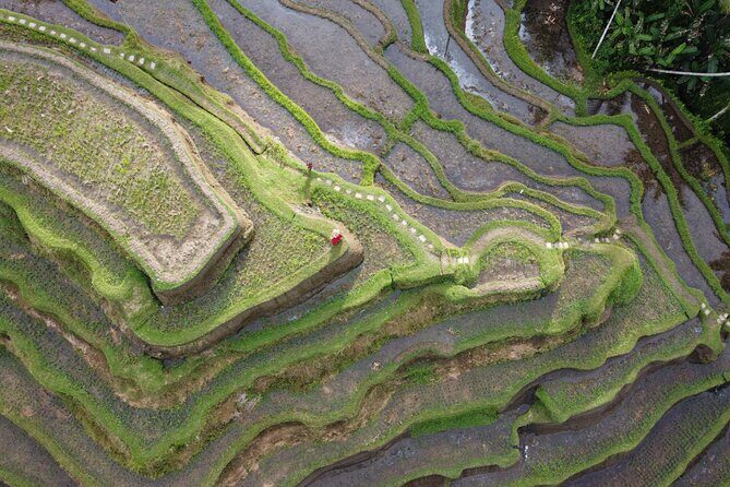 Bali Private Photographer & Drone - Why Ubud is such a good match for drone photos