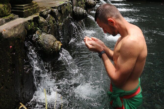 Bali Private tour - Tegalalang Rice Terrace: The Green Ridges Around Ubud
