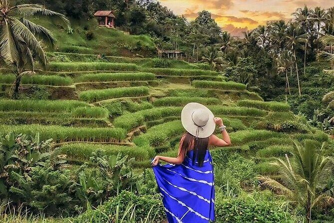 Bali Private Tour - Best of Ubud - All Inclusive - Stop 2: Tegalalang Rice Terrace (Views, Craft, and Farmer Life)
