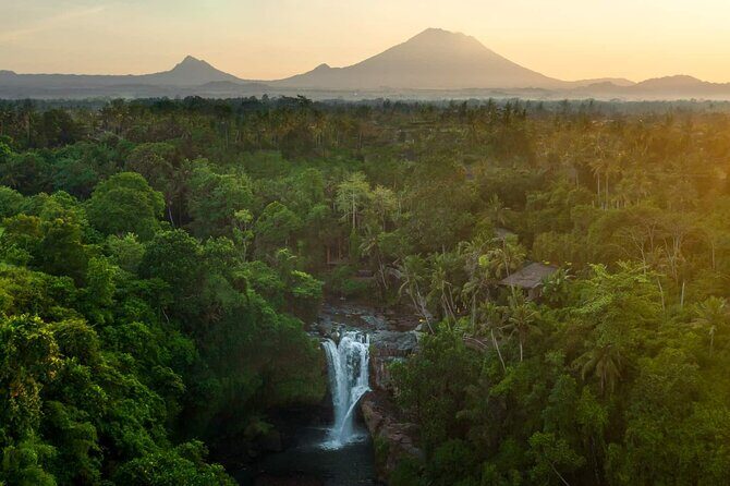 Bali Private Tour - Best of Ubud - All Inclusive - Transportation, Timing, and Why 8–10 Hours Feels Like Enough