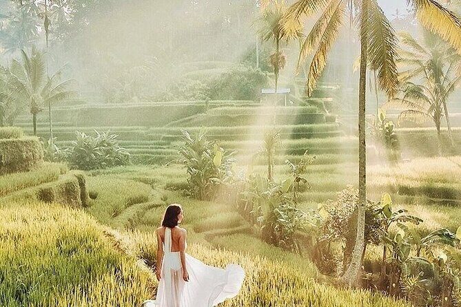 Bali Private Tour - Best of Ubud - All Inclusive - The All-Inclusive Checklist (So You Can Actually Plan)