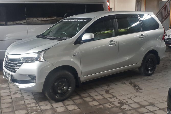 Bali Private Tour - Car with Driver - What’s Included vs. What You Pay for Yourself