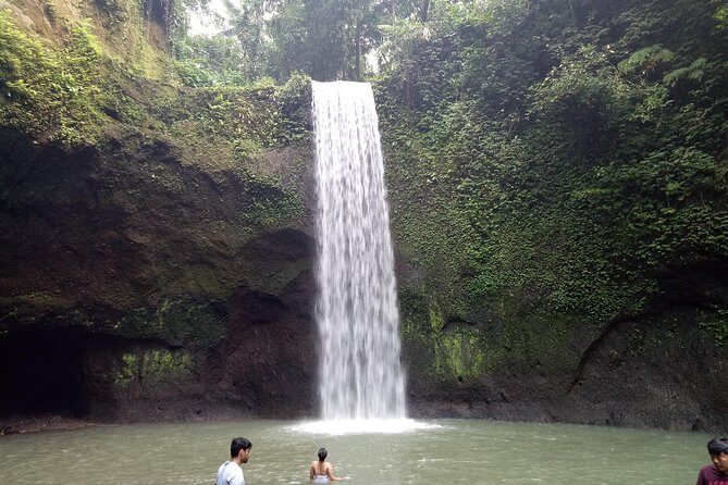 Bali Private Tour Guide And Driver - Private Bali Guidance With a Real Local Focus