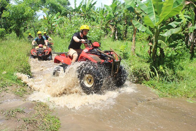 Bali Private Tour Guide And Driver - Places This Type of Tour Can Take You (Ubud, Denpasar, and Beyond)