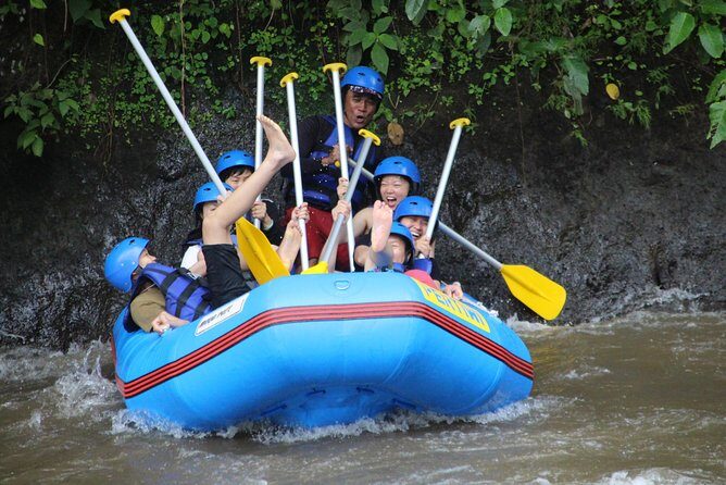 Bali Private Tour Guide And Driver - Who This Bali Private Tour Suits Best