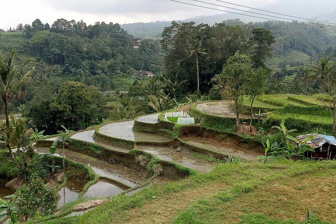 Bali Private Tour Guide And Driver - The $32 Value: What You’re Really Paying For
