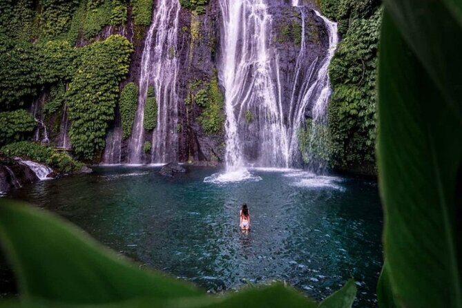 Bali Private Tour: Handara Iconic Gate, Watefall and Temple - Quick Reasons To Choose This Tour