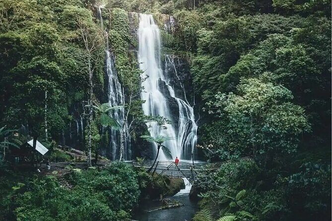 Bali Private Tour: Handara Iconic Gate, Watefall and Temple - Guides and the Little Things That Make or Break the Day