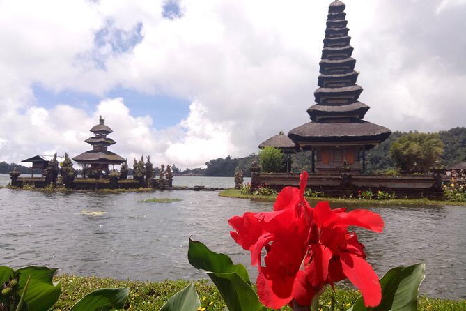 Bali Private Tour: Ulun danu Temple, Iconic Handara Gate & Tanah lot sunset. - Alas Kedaton / monkey forest: a nature-temple mix that can be fun or frantic