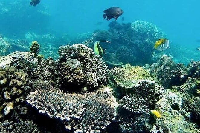 Bali Private Tour: Waterfall, Monkey forest and Tanah lot sunset - Price and value: what $56 per person really covers