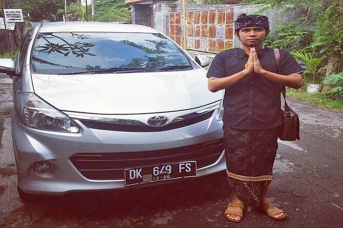 Bali Private Transfer Services - Choosing the right ride: 6-seater car or 5-seater minibus