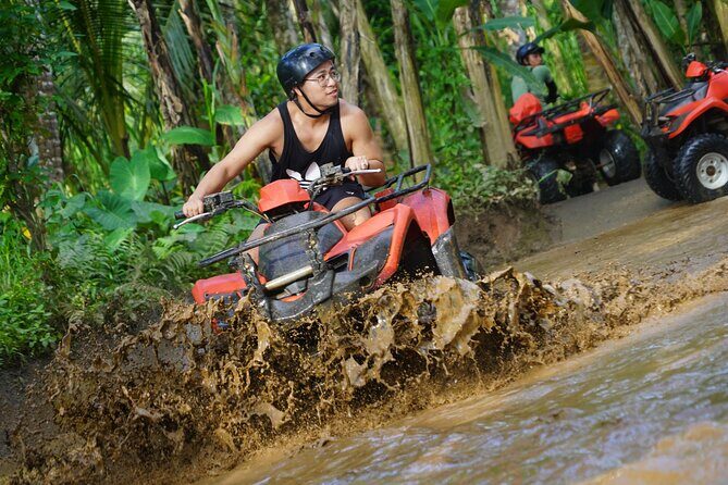 Bali Quad Bike Adventure - Monkey Forest and Tegenungan Waterfall - Sacred Monkey Forest Sanctuary: gray macaques, temple setting, and a real local feel