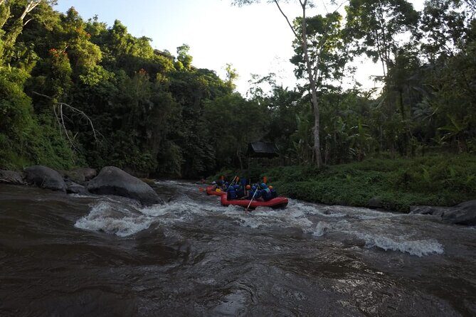 Bali Rafting - Who Should Book This Ayung Rafting Trip