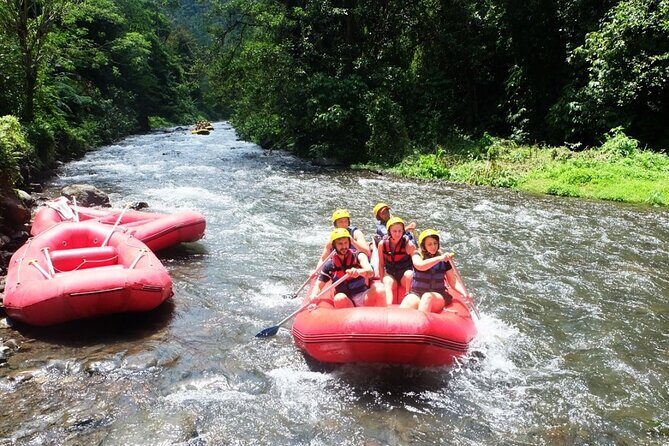 Bali Rafting Adventure + East Bali Tour - Price and What You’ll Pay Extra Beyond $35
