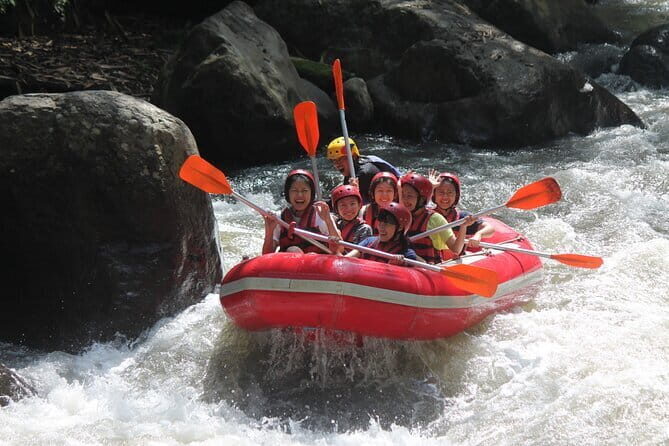 Bali Rafting : Bali Family Rafting in Ubud and Ubud Private Tour - Pickup in Ubud: private car comfort and guided orientation