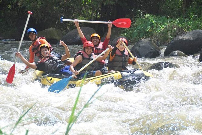 Bali Rafting - Ubud River Rafting With Lunch - The Run Itself on the Ayung River: Rapids, Water Splashes, and Team Pacing